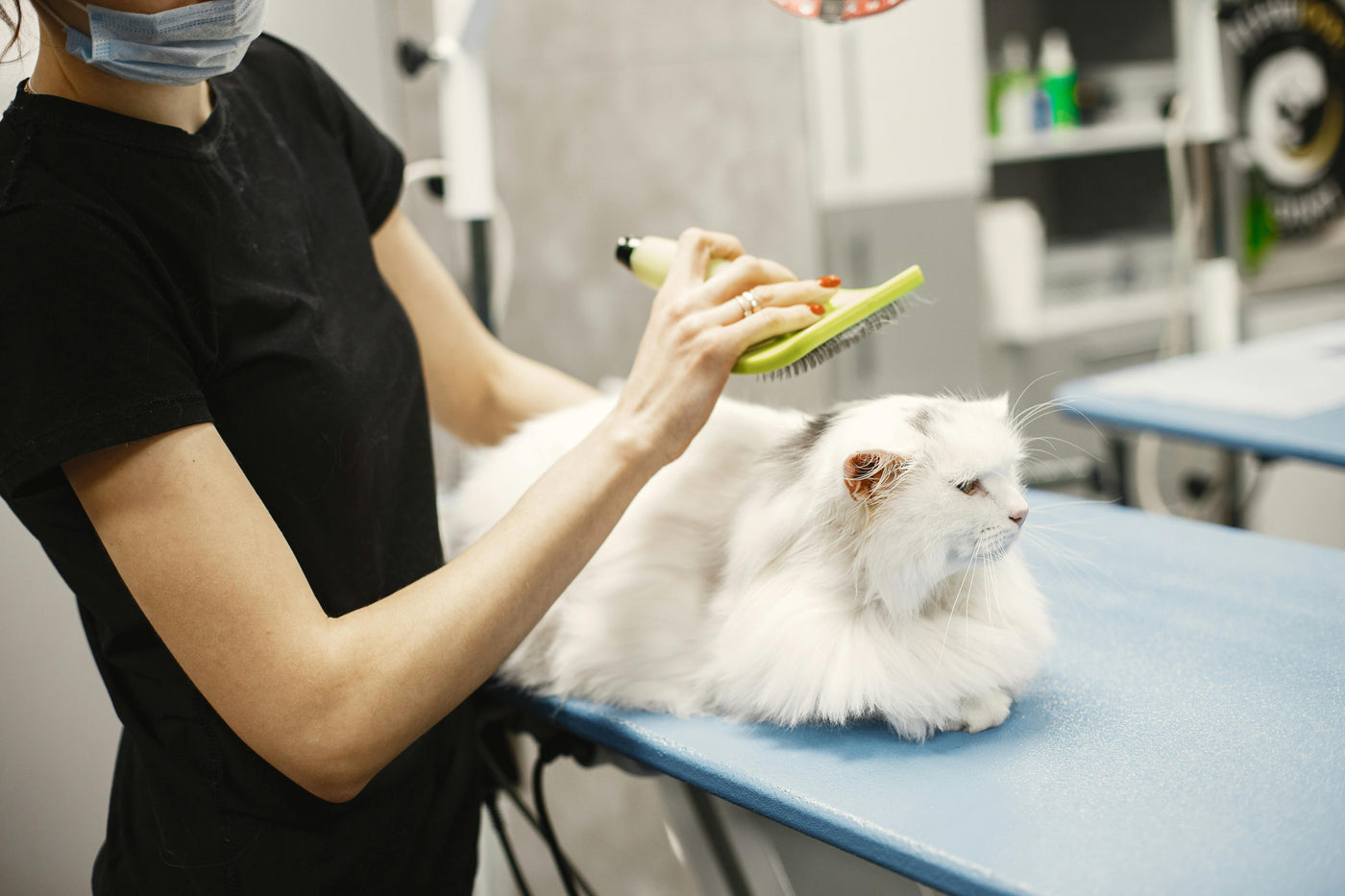 Cat Grooming