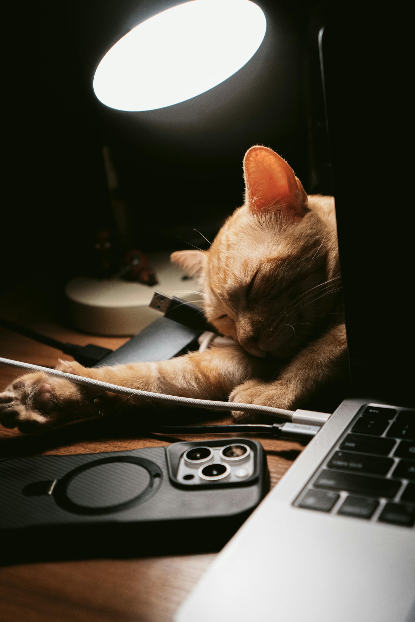 Cat Electronics & Tech