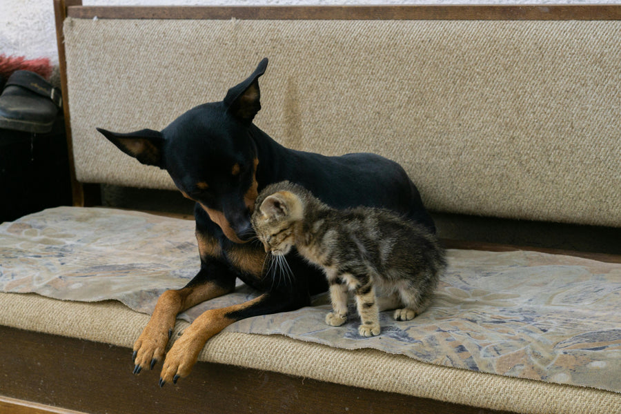 Moments that feel warm, calm, and easy to love.