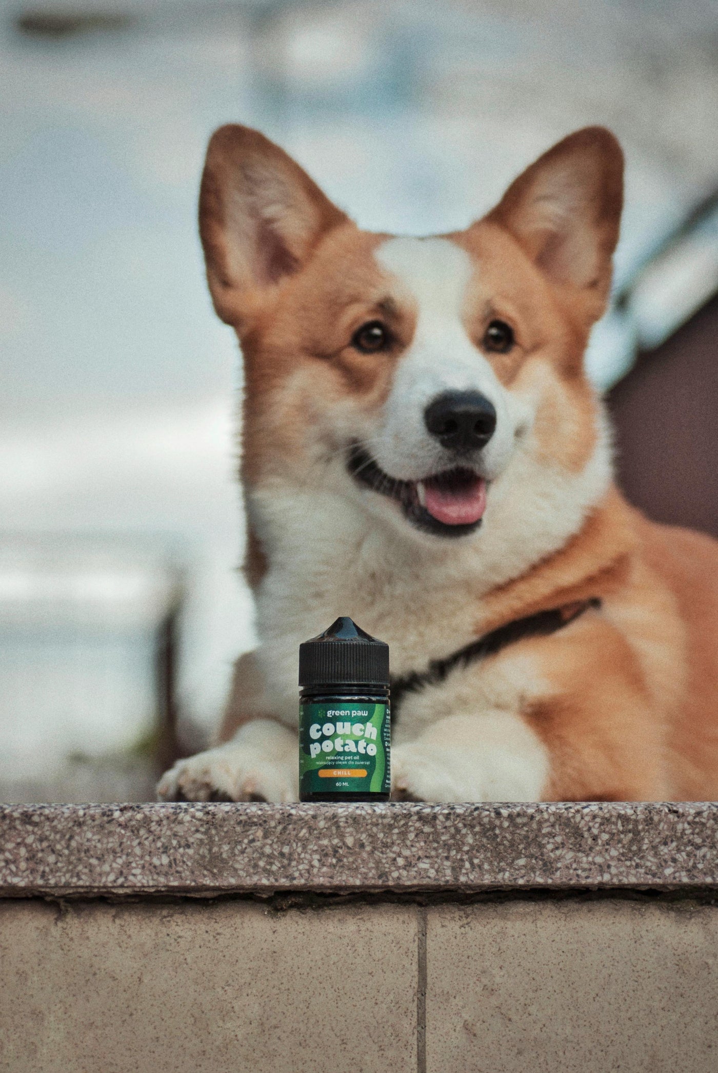 Refined pet essentials