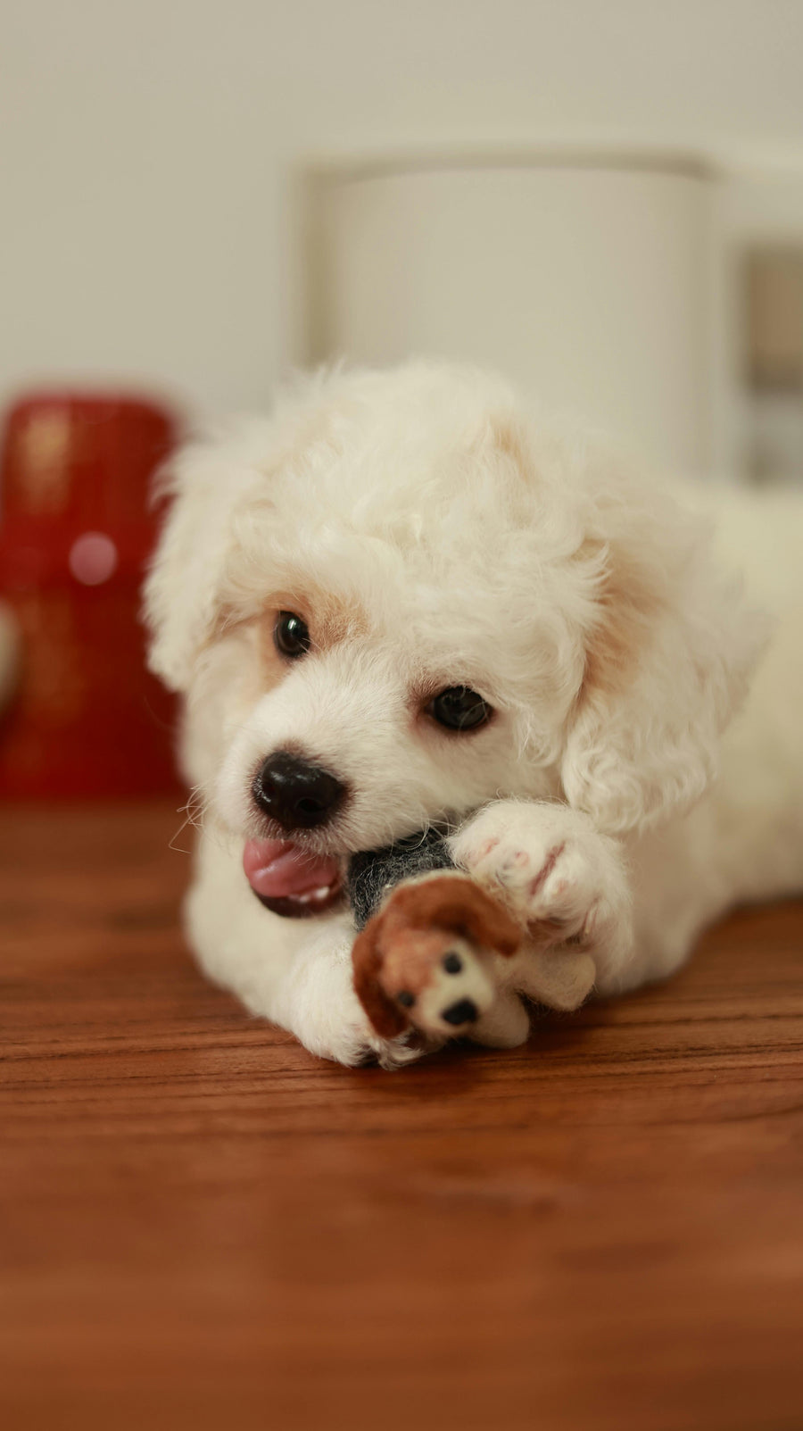 For the pets that make a home feel full.