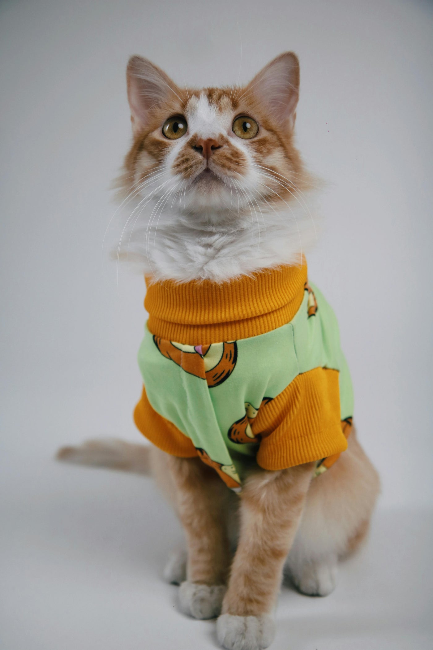 Cat Clothing & Apparel