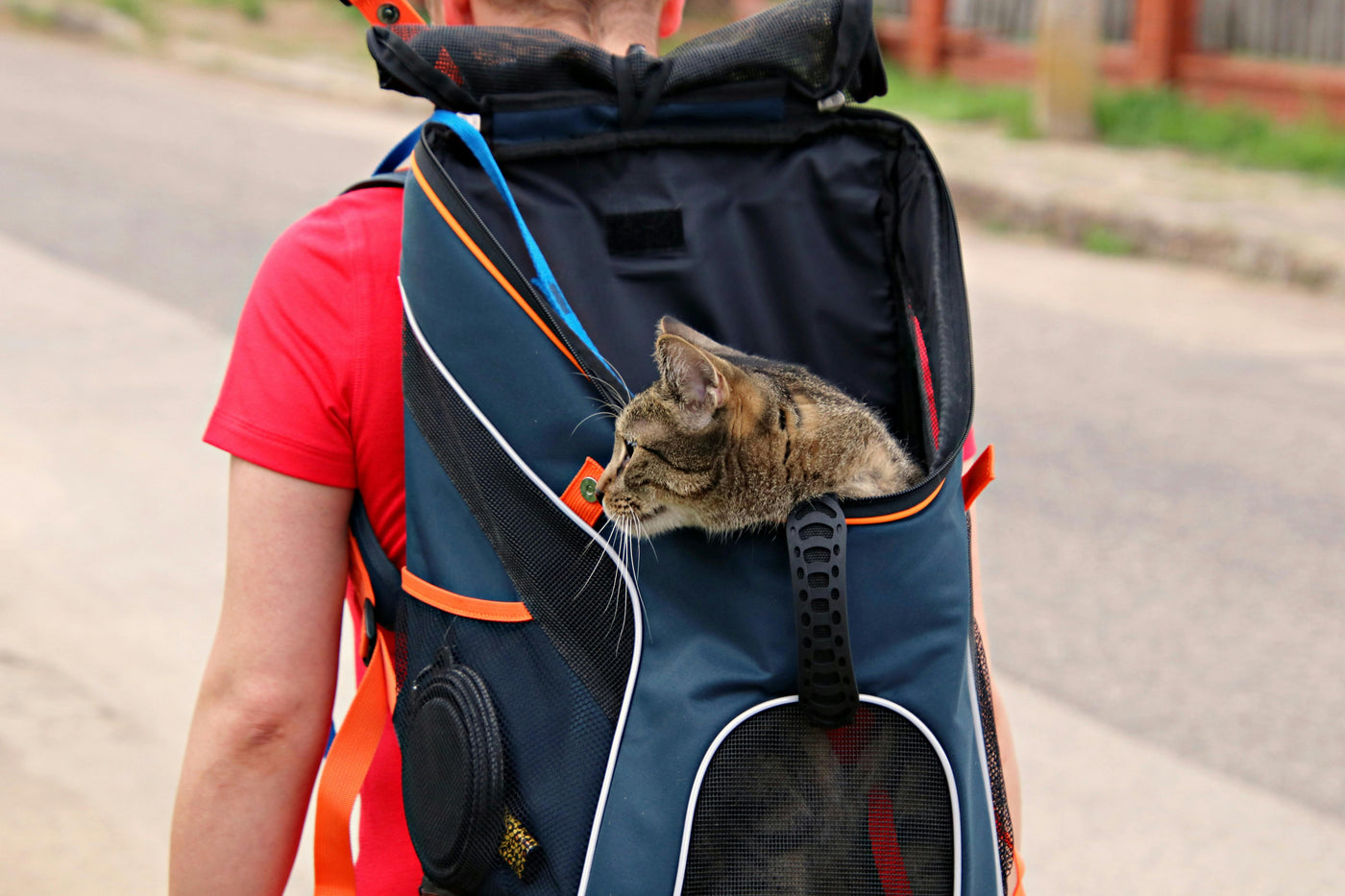 Cat Travel & Carriers