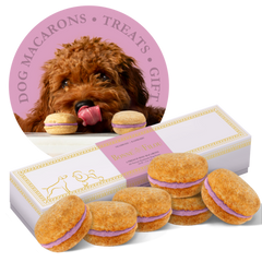 Dog Macarons - Box of 6