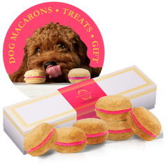 Dog Macarons - Box of 6