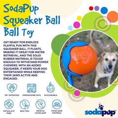 Squeak Ball - Durable Squeaky Dog Toy, Floats, Chew Toy | USA Made