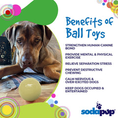 Squeak Ball - Durable Squeaky Dog Toy, Floats, Chew Toy | USA Made