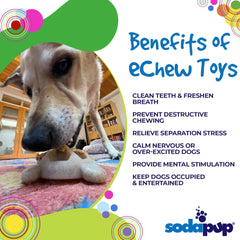 Turtle Nylon Chew Toy - Ultra-Durable Enrichment Toy for Power Chewers USA
