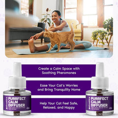 Purrfect Cat Calming Diffuser Kit with 2 Refills