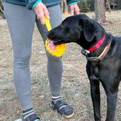 eStick Hand-Held Dog Enrichment Toy - Interactive Lick Stick | USA Made