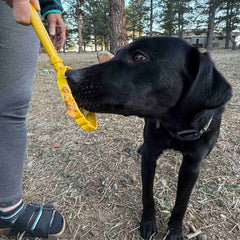 eStick Hand-Held Dog Enrichment Toy - Interactive Lick Stick | USA Made
