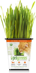 Pet Greens Organic Cat Grass