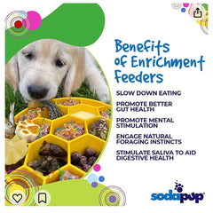 Honeycomb eBowl Deep Slow Feeder Dog Bowl for Enrichment | USA Made