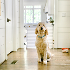 Crypton® Fabric Pet Safety Gate – Stylish, Stain-Resistant, PFAS-Free | fit openings from 27.6" to 55" wide and stand 33"
