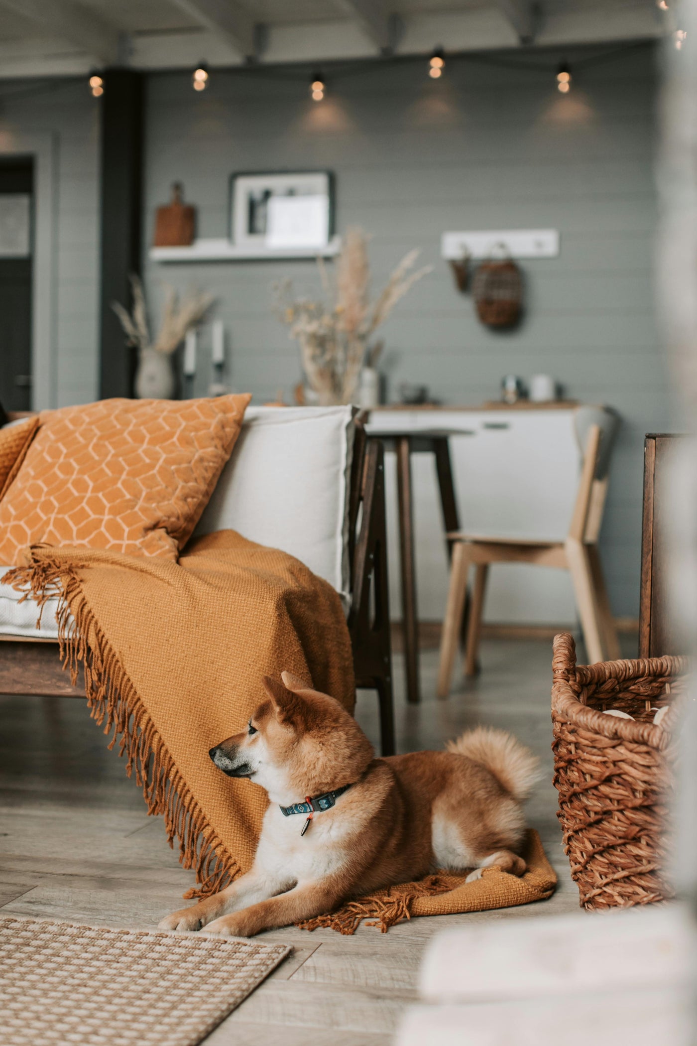 Cozy home comforts