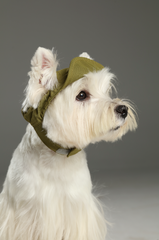 TENNIS HAT - GREEN